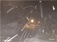 79a50ee4-20170117 VV 4.jpg